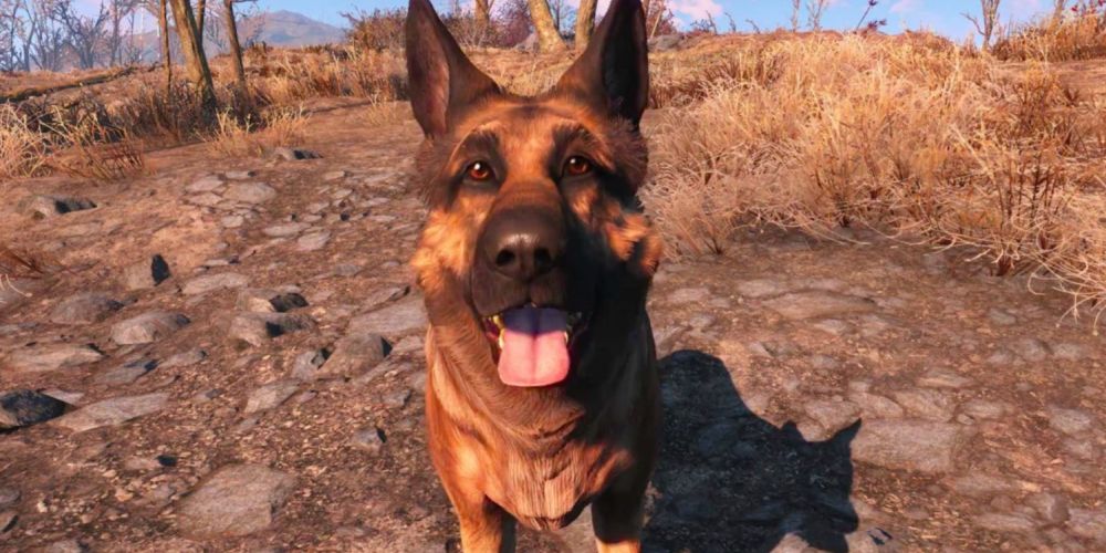 Dogmeat is one of the best animals in games